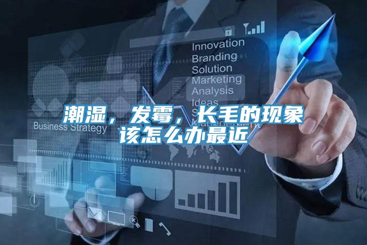潮濕，發(fā)霉，長(zhǎng)毛的現(xiàn)象該怎么辦最近