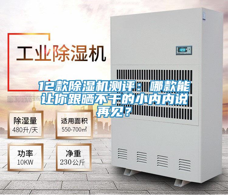 12款除濕機(jī)測評：哪款能讓你跟曬不干的小內(nèi)內(nèi)說再見？