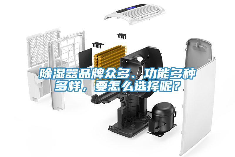 除濕器品牌眾多、功能多種多樣，要怎么選擇呢？
