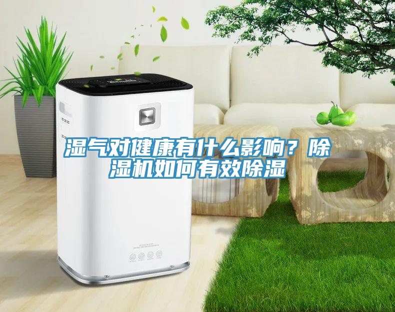 濕氣對健康有什么影響？除濕機(jī)如何有效除濕