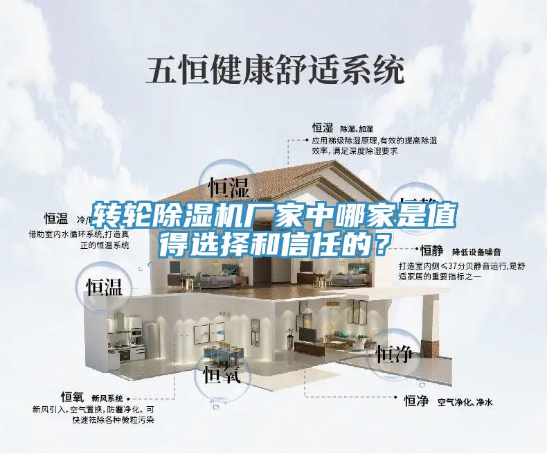 轉(zhuǎn)輪除濕機(jī)廠家中哪家是值得選擇和信任的？