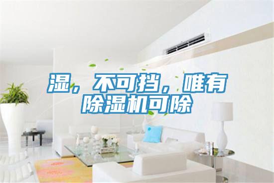 濕，不可擋，唯有除濕機可除