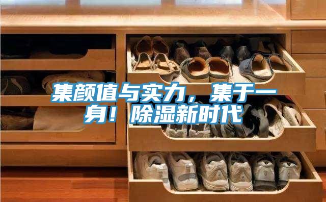 集顏值與實(shí)力，集于一身！除濕新時代