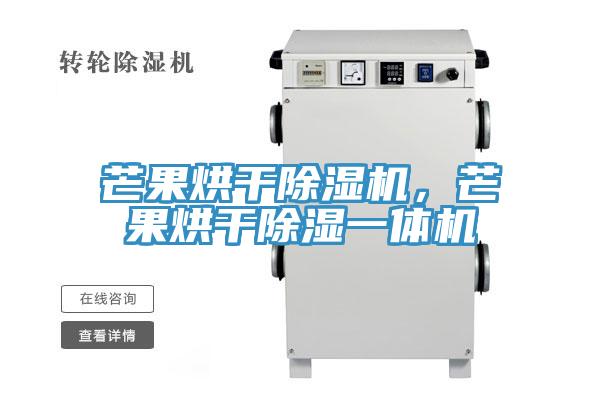 芒果烘干除濕機(jī)，芒果烘干除濕一體機(jī)