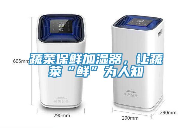 蔬菜保鮮加濕器，讓蔬菜“鮮”為人知