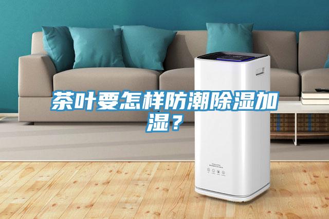 茶葉要怎樣防潮除濕加濕？