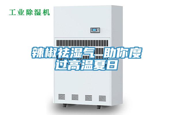 辣椒祛濕氣 助你度過(guò)高溫夏日