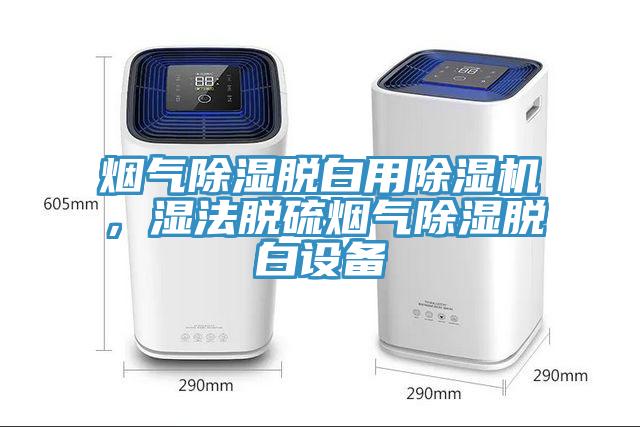 煙氣除濕脫白用除濕機(jī)，濕法脫硫煙氣除濕脫白設(shè)備