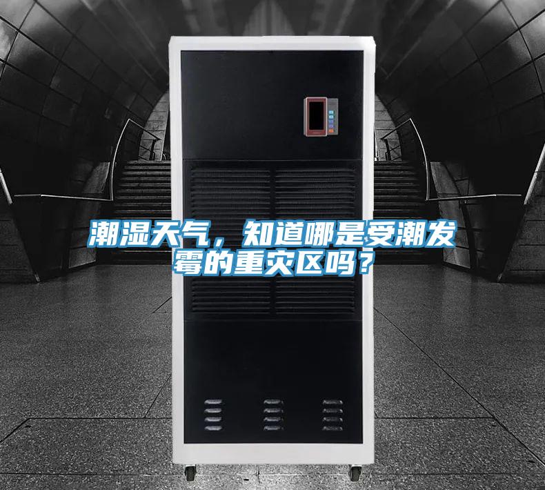潮濕天氣，知道哪是受潮發(fā)霉的重災(zāi)區(qū)嗎？