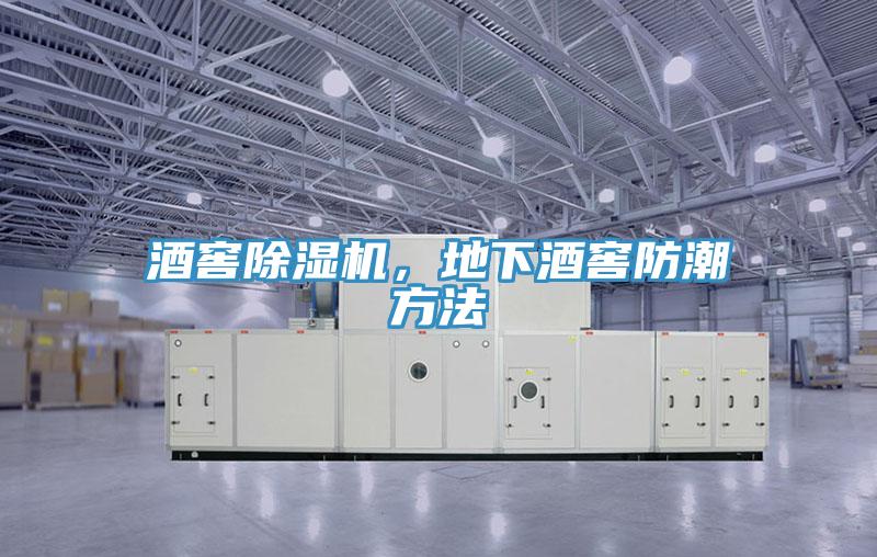 酒窖除濕機，地下酒窖防潮方法