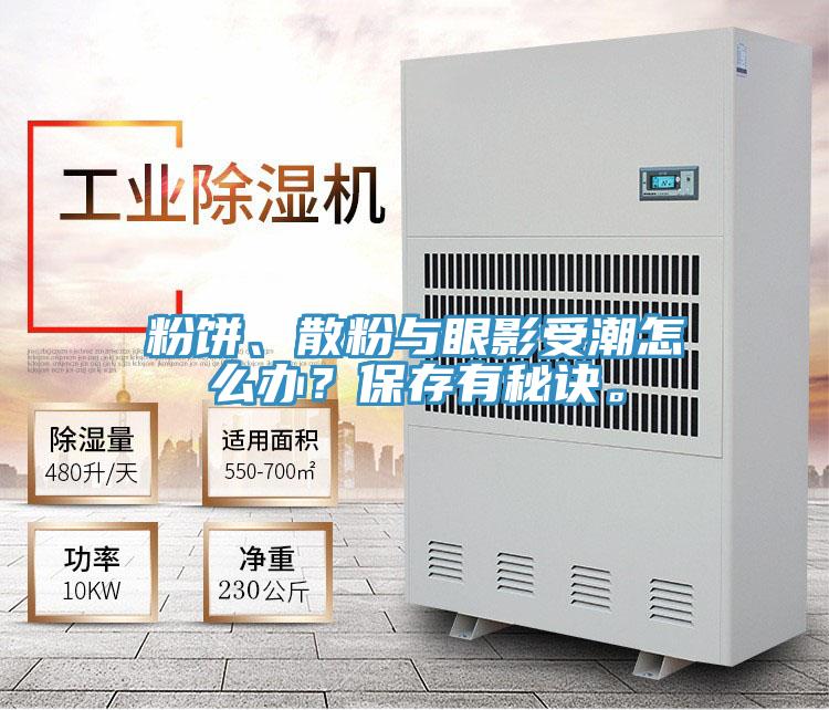 粉餅、散粉與眼影受潮怎么辦？保存有秘訣。