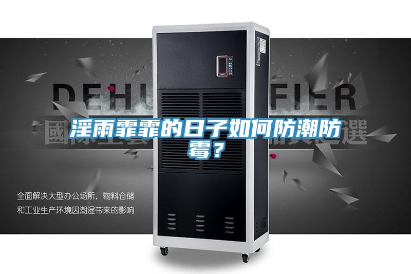 淫雨霏霏的日子如何防潮防霉？