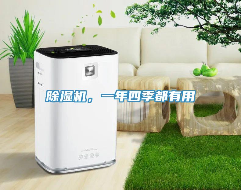 除濕機，一年四季都有用