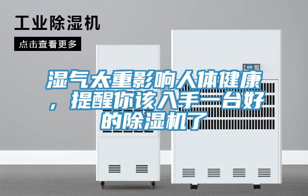 濕氣太重影響人體健康，提醒你該入手一臺好的除濕機了
