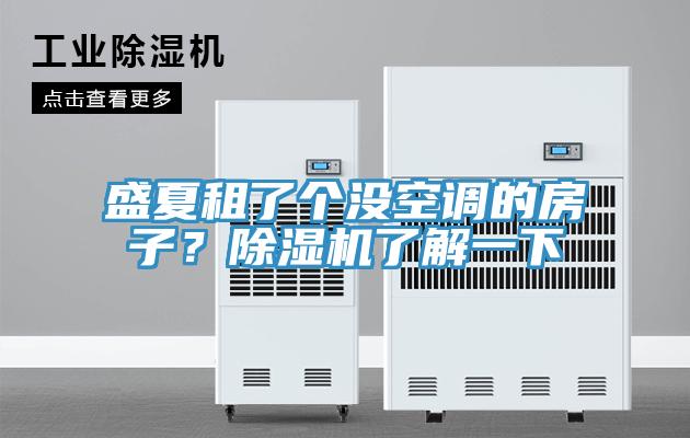 盛夏租了個(gè)沒空調(diào)的房子？除濕機(jī)了解一下