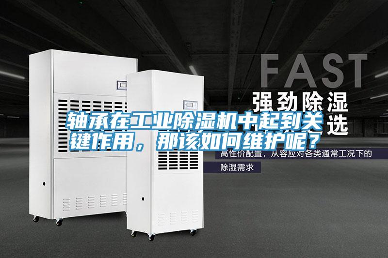 軸承在工業(yè)除濕機中起到關(guān)鍵作用，那該如何維護(hù)呢？