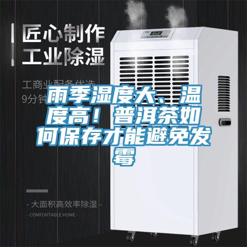 雨季濕度大、溫度高！普洱茶如何保存才能避免發(fā)霉
