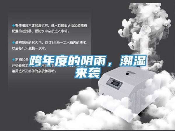 跨年度的陰雨，潮濕來襲