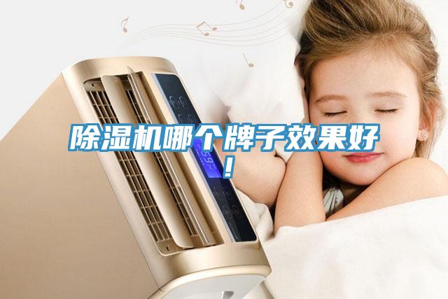 除濕機(jī)哪個牌子效果好！
