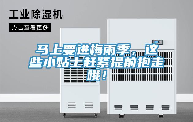馬上要進梅雨季，這些小貼士趕緊提前抱走哦！