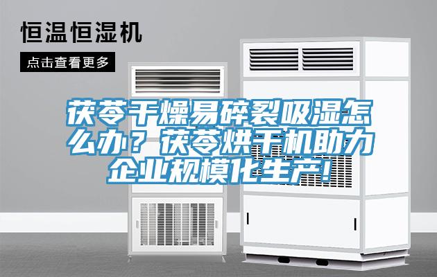茯苓干燥易碎裂吸濕怎么辦？茯苓烘干機助力企業(yè)規(guī)?；a(chǎn)!