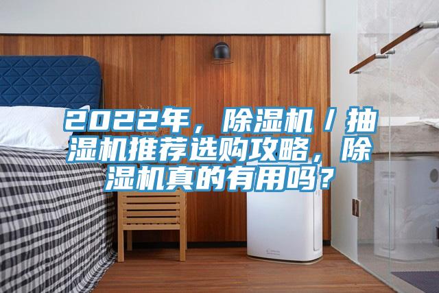 2022年，除濕機／抽濕機推薦選購攻略，除濕機真的有用嗎？