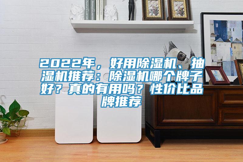 2022年，好用除濕機、抽濕機推薦：除濕機哪個牌子好？真的有用嗎？性價比品牌推薦