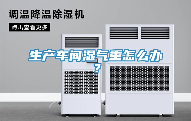 生產(chǎn)車間濕氣重怎么辦？