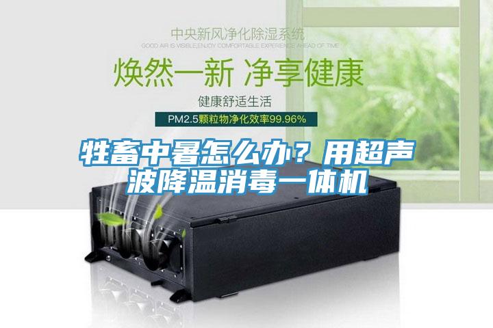 牲畜中暑怎么辦？用超聲波降溫消毒一體機(jī)