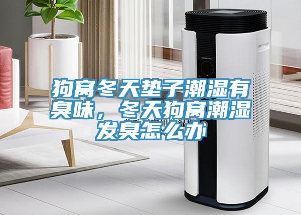 狗窩冬天墊子潮濕有臭味，冬天狗窩潮濕發(fā)臭怎么辦