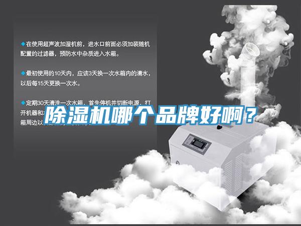 除濕機(jī)哪個品牌好??？