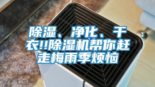 除濕、凈化、干衣!!除濕機(jī)幫你趕走梅雨季煩惱