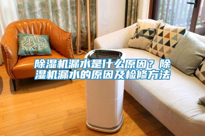除濕機(jī)漏水是什么原因？除濕機(jī)漏水的原因及檢修方法