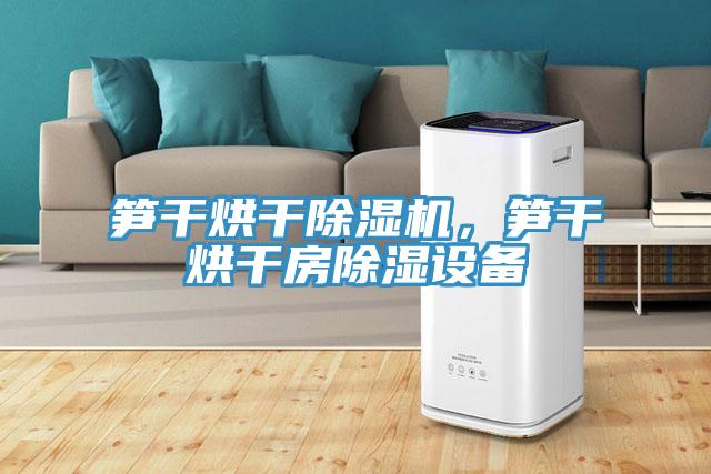 筍干烘干除濕機(jī)，筍干烘干房除濕設(shè)備