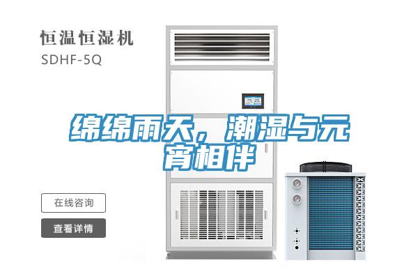 綿綿雨天，潮濕與元宵相伴