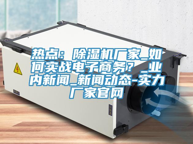 熱點(diǎn)：除濕機(jī)廠家_如何實(shí)戰(zhàn)電子商務(wù)？_業(yè)內(nèi)新聞_新聞動(dòng)態(tài)-實(shí)力廠家官網(wǎng)