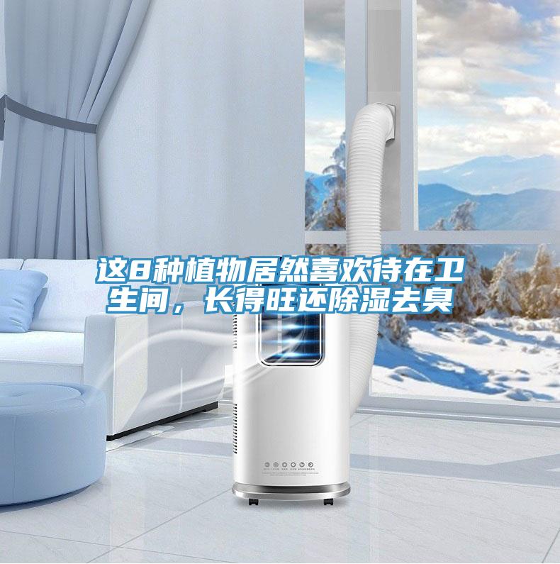 這8種植物居然喜歡待在衛(wèi)生間，長得旺還除濕去臭
