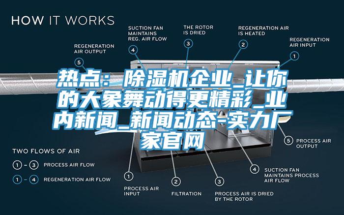 熱點(diǎn)：除濕機(jī)企業(yè)_讓你的大象舞動得更精彩_業(yè)內(nèi)新聞_新聞動態(tài)-實(shí)力廠家官網(wǎng)