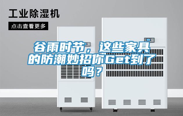 谷雨時(shí)節(jié)，這些家具的防潮妙招你Get到了嗎？
