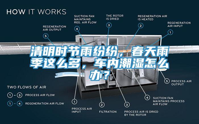 清明時(shí)節(jié)雨紛紛，春天雨季這么多，車內(nèi)潮濕怎么辦？