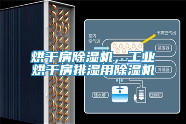 烘干房除濕機(jī)，工業(yè)烘干房排濕用除濕機(jī)