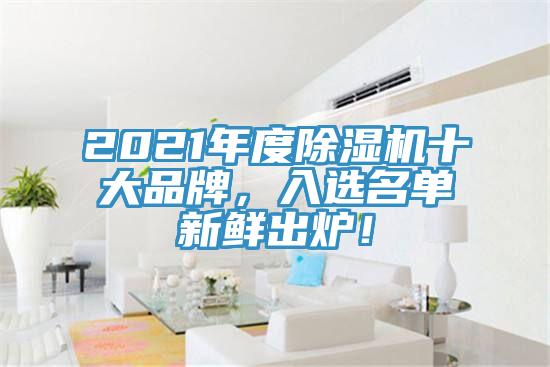 2021年度除濕機十大品牌，入選名單新鮮出爐！