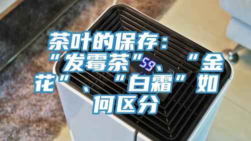 茶葉的保存：“發(fā)霉茶”、“金花”、“白霜”如何區(qū)分