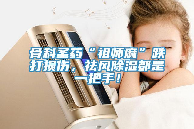 骨科圣藥“祖師麻”跌打損傷，祛風(fēng)除濕都是一把手！