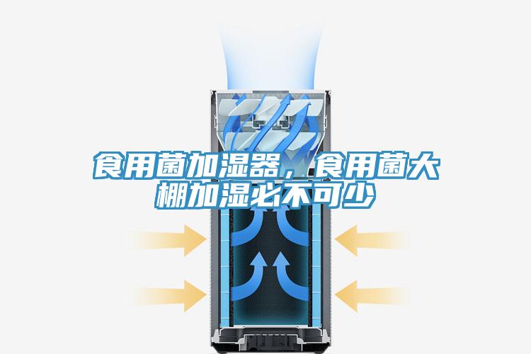 食用菌加濕器，食用菌大棚加濕必不可少