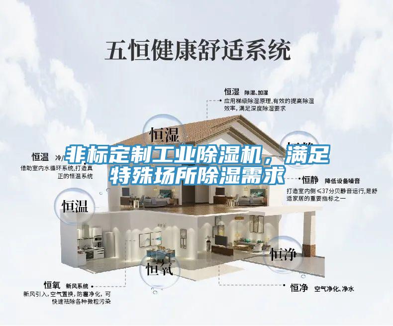 非標(biāo)定制工業(yè)除濕機，滿足特殊場所除濕需求