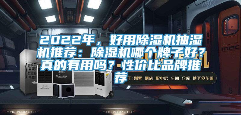 2022年，好用除濕機抽濕機推薦：除濕機哪個牌子好？真的有用嗎？性價比品牌推薦