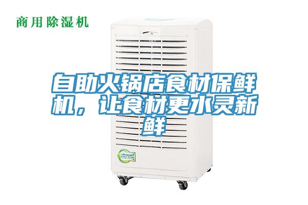 自助火鍋店食材保鮮機(jī)，讓食材更水靈新鮮