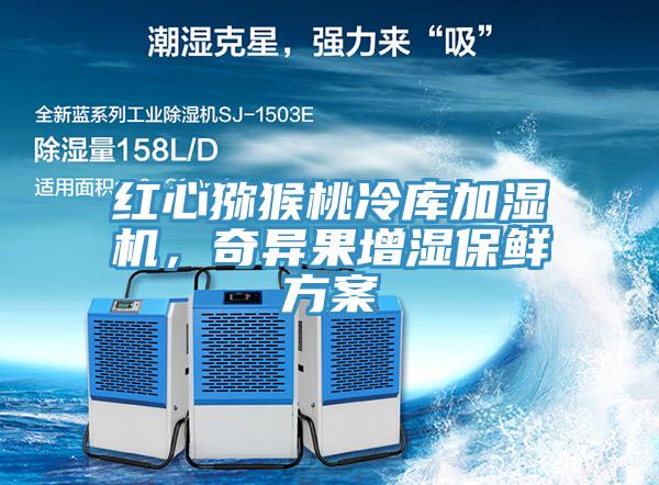 紅心獼猴桃冷庫(kù)加濕機(jī)，奇異果增濕保鮮方案