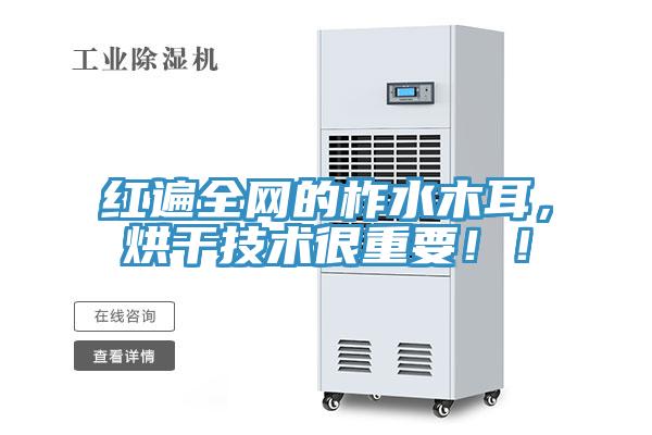 紅遍全網(wǎng)的柞水木耳，烘干技術(shù)很重要??！